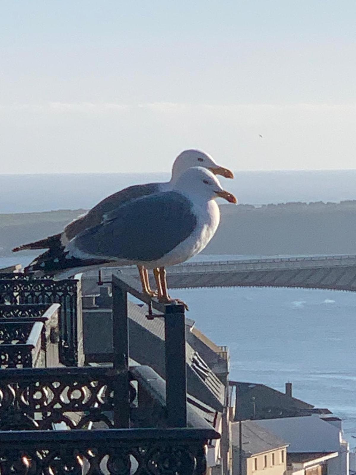 Moderno Piso Con La Mejor Terraza De Ribadeo Y Vistas Maravillosas エクステリア 写真